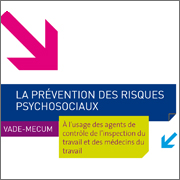 Prévention des risques psychosociaux : vademecum à l’usage des agents de contrôle de l’inspection du travail et des médecins du travail