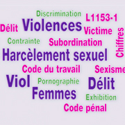 Guide des violences sexistes et sexuelles au travail
