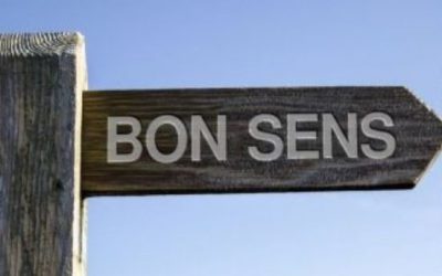 Burn-out, licenciement et «flex office»: L’entreprise a-t-elle toujours un sens ?
