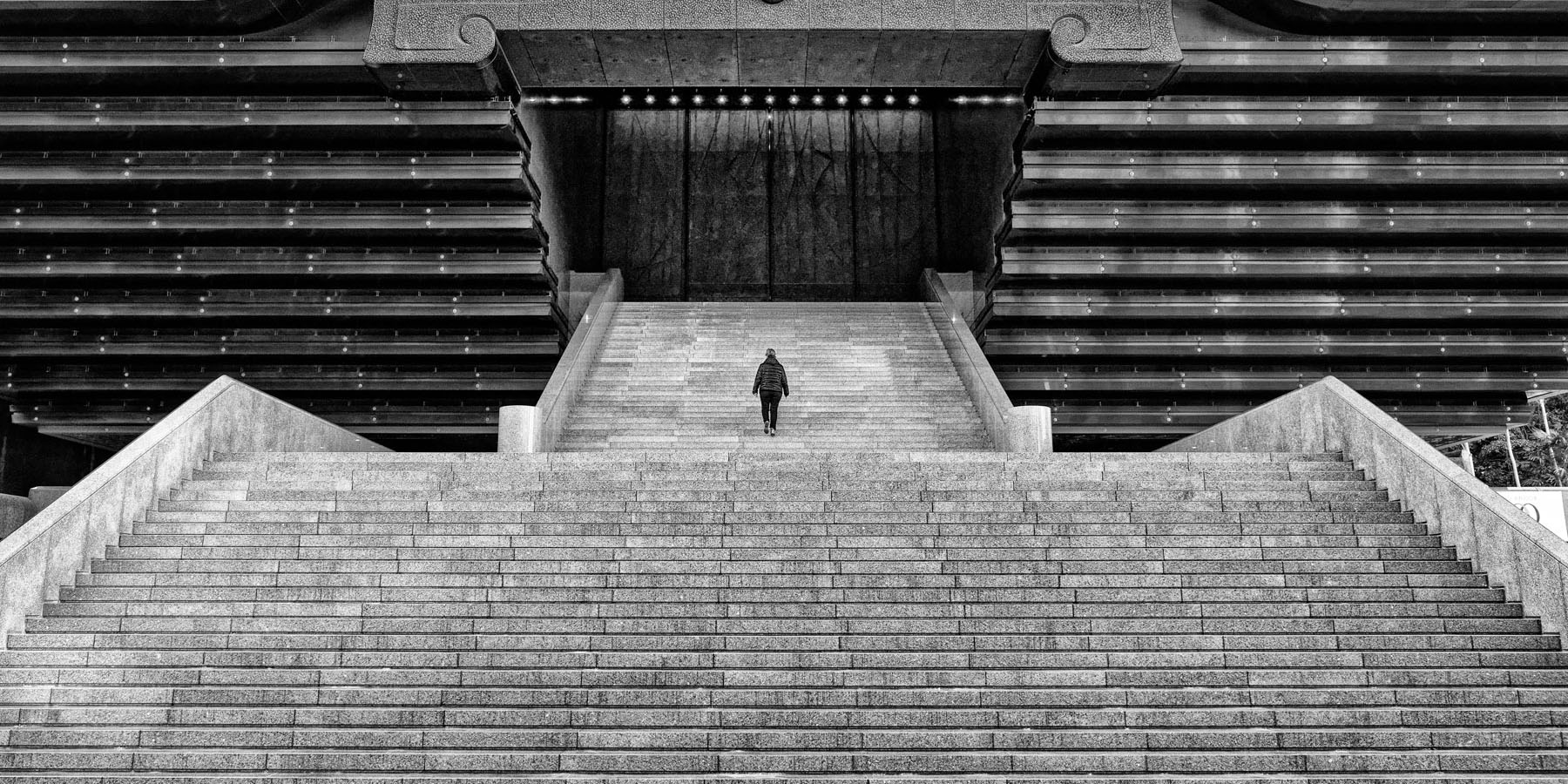 personne grimpant des marches d'escalier monumentales. Photo par Eric Kala