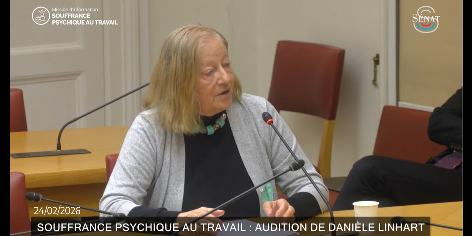 souffrance-psychique-travail-audition-senat-daniele-linhart-fevrier-2026 souffrance psychique au travail : audition au Sénat de la sociologue Danièle Linhart 24 fevrier-2026