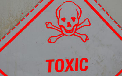 Les caïds, ces managers toxiques promoteurs d’univers de travail pathogènes