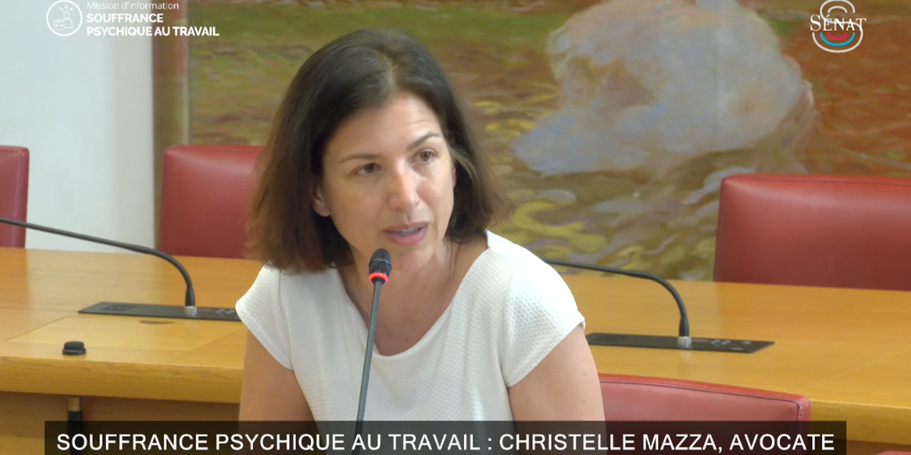 Sénat : Audition de Me Christelle Mazza, avocate au barreau de Paris