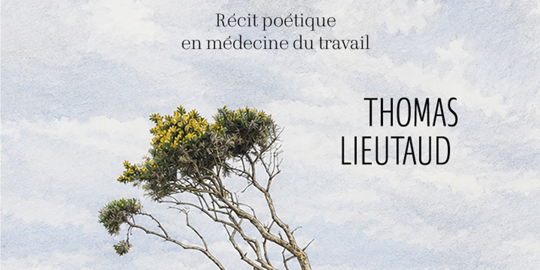 lieutaud-recit-poetique-medecine-du-travail Livre : Ce poison habille mes soirs. Récit poétique en médecine du travail
